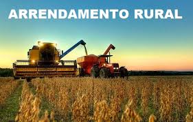 Cláusula de arrendamento rural que fixa preço em quantidade de produtos é nula